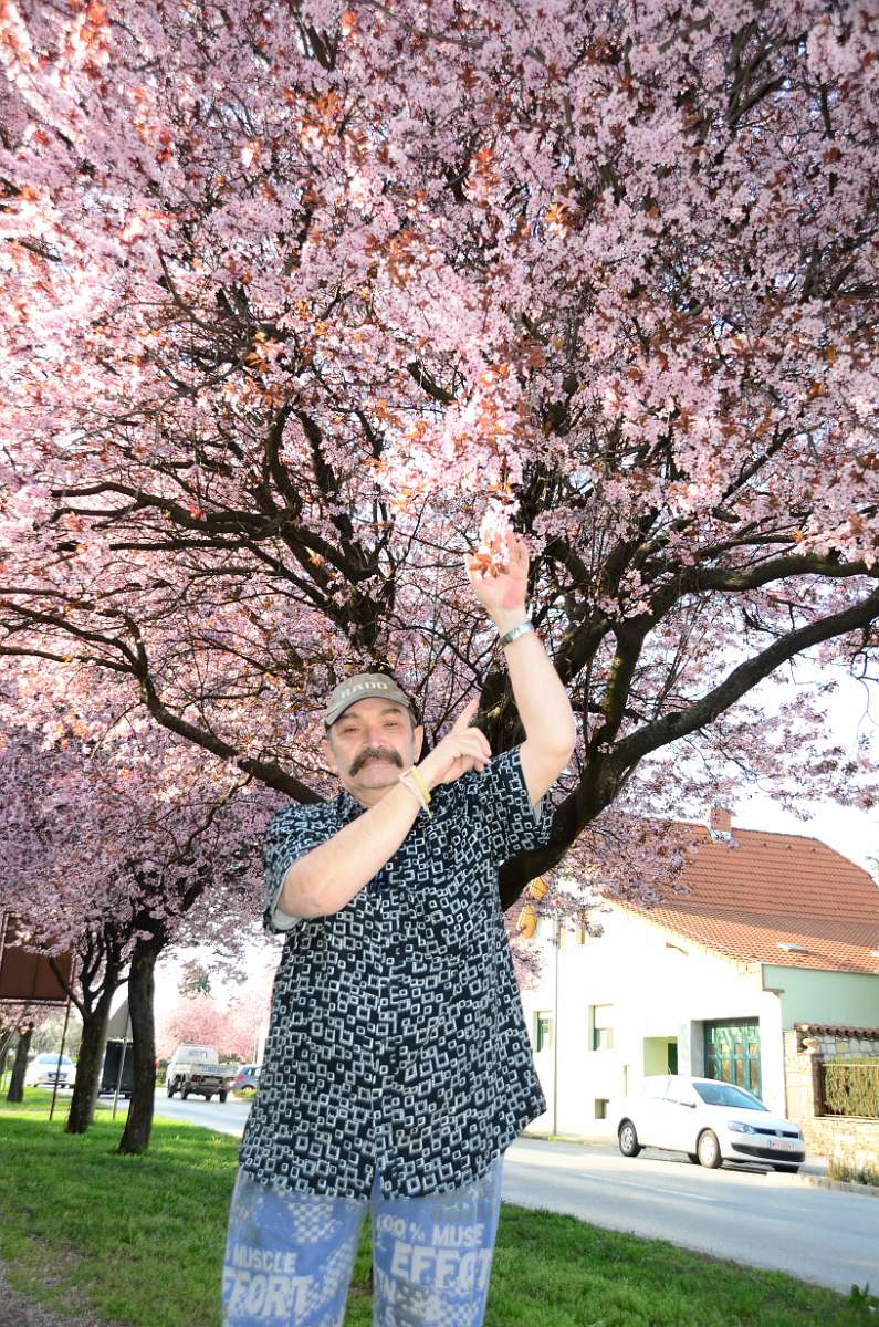 2014-03-28 16-06-07.JPG